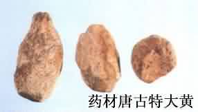 大黄:点击看原图 大黄