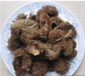 栗壳:点击看原图 栗壳