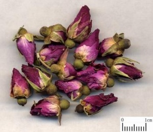 玫瑰花:点击看原图 玫瑰花