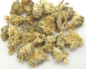 木槿花:点击看原图 木槿花