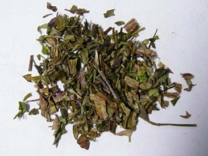 青鱼胆草:点击看原图 青鱼胆草