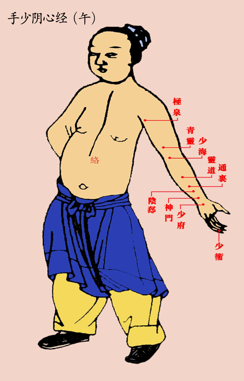 手少阴心经(午)