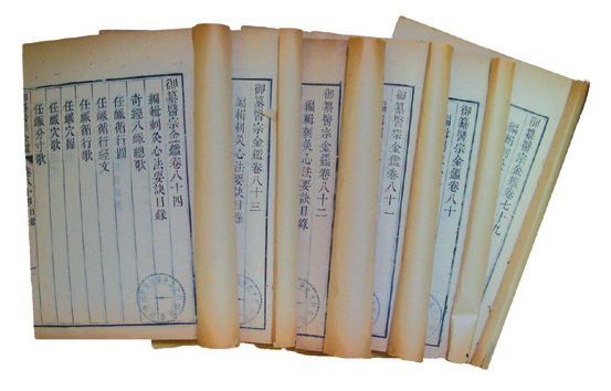 《医宗金鉴》 