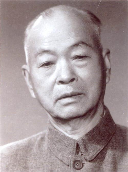 吴佩衡 吴佩衡