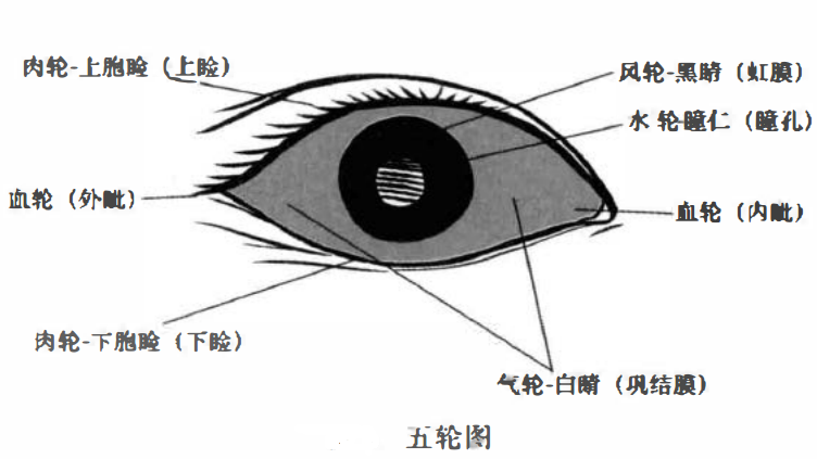 五轮图