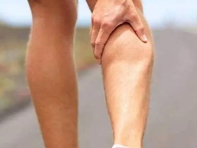 文章图片 小腿内侧