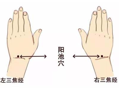 阳池穴