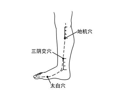 地机穴