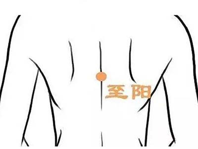 至阳穴