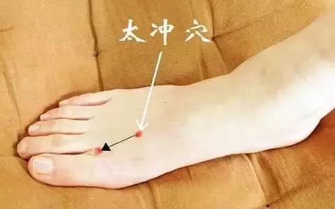 太冲穴