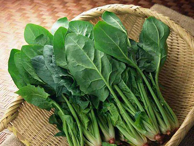 文章图片 菠菜