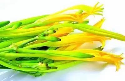 文章图片 鲜黄花菜