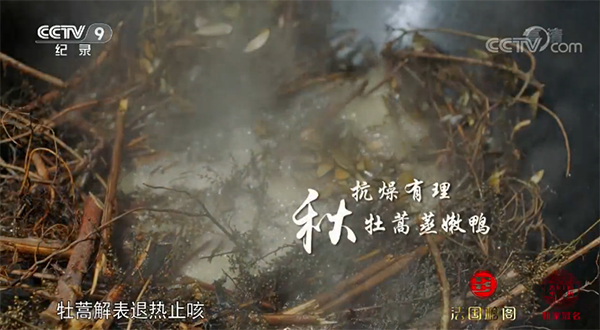 秋牡蒿蒸嫩鸭