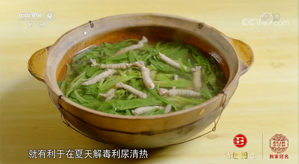 败酱草小肠汤