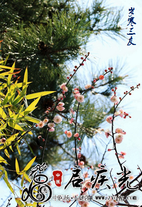 文章图片